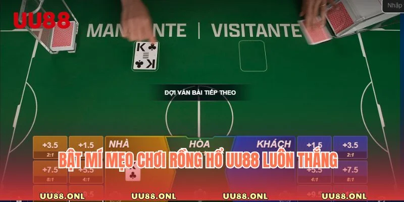 Kinh nghiệm giúp bạn làm chủ Dragon Tiger nhanh chóng